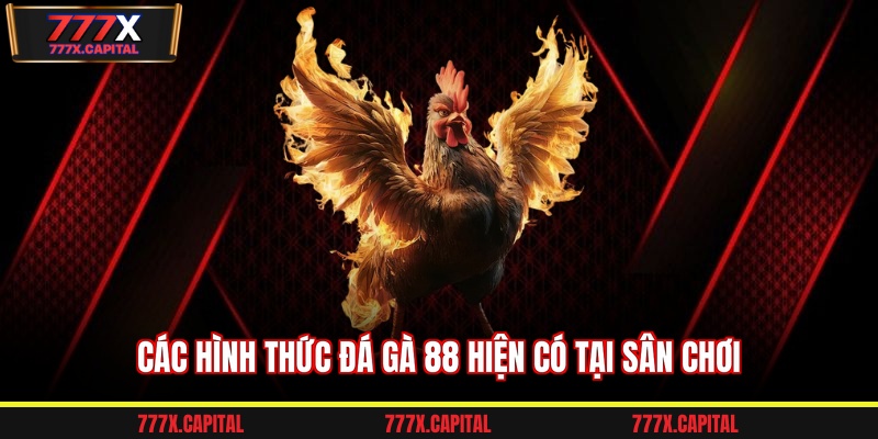 Các hình thức đá gà 88 hiện có tại sân chơi