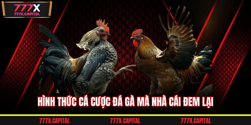 Hình thức cá cược đá gà mà nhà cái đem lại  